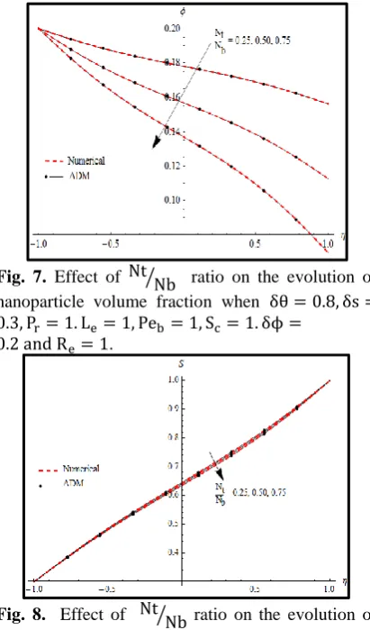 Fig. 8.  Effect of  Nt ⁄Nb ratio on the evolution ofmotile microorganisms density when δθ = 0.8, δs =0.3, Pr = 1
