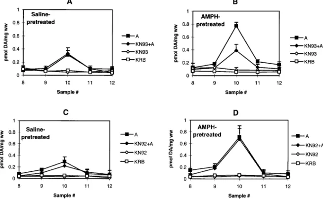 Figure 3. K 1 -mediated DA release from AMPH- and saline-pretreated rats. Rats were given repeated saline (triangles) or AMPH (squares) as described in Materials and Methods
