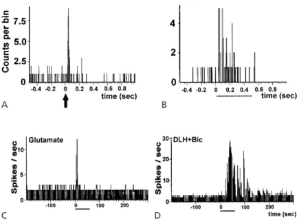 FIGURE 4.4. Activation of locus ceruleus (LC) neuron by stimulation of medial prefrontal cortex (PFC) in rat.