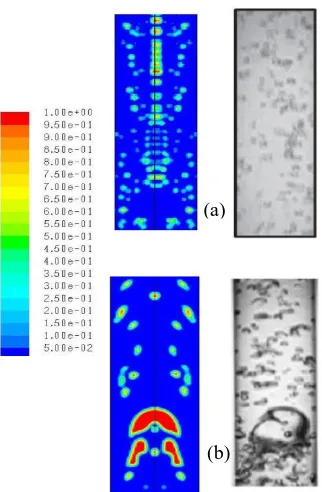 Fig. 1.  Comparison of volume fraction contours of experimental [6] and numerical bubbly (a) and slug (b) flow regimes