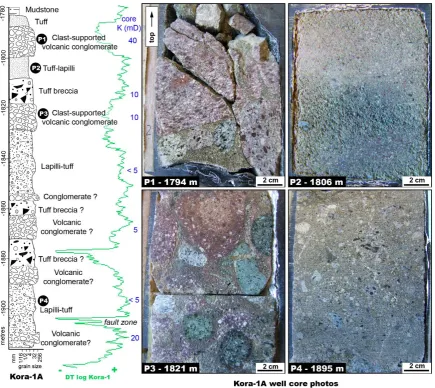 Figure 27: Well-core description and photographs of the main lithofacies recovered on the Kora-1A well