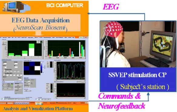 Fig. 3 Our BCI Platform consists of two PC computers: One for EEG data acquisition,  stimuli generation and a second machine for online processing of data in micro batch  mode