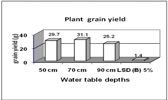 Fig. 5. Grain yield of faba bean crop under different water table levels treatments. 