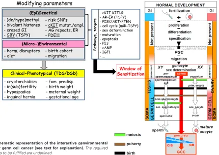 Fig. 1. Schematic representation of the interactive genvironmental 