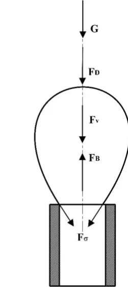 Fig. 4. Schematic force balance in the current study.  