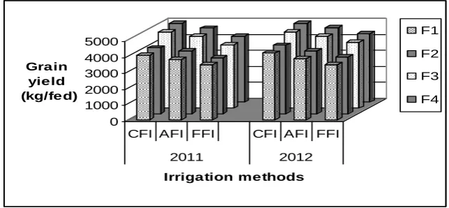 Fig. 1. Response of corn grain yield to studied irrigation methods and fertilization  treatments in both seasons