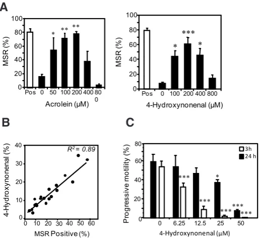Fig. 3. Impact of lipid aldehydes on human sperm function. (A) Dose-dependent changes in mitochondrial ROS generation detected with MitoSox red (MSR) following exposure to acrolein and 4-hydroxynonenal