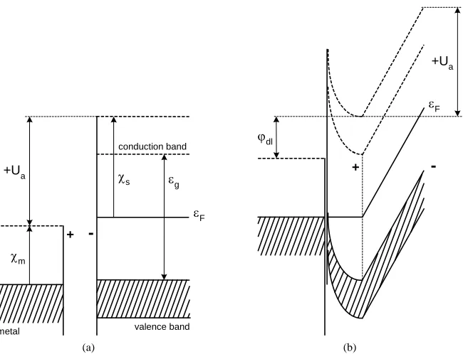 Figure 5. Band structures of the separated molten salt and anode under potential +Uatween themin the closed galvanic circuit (b), vertical dotted line is the DL boundary