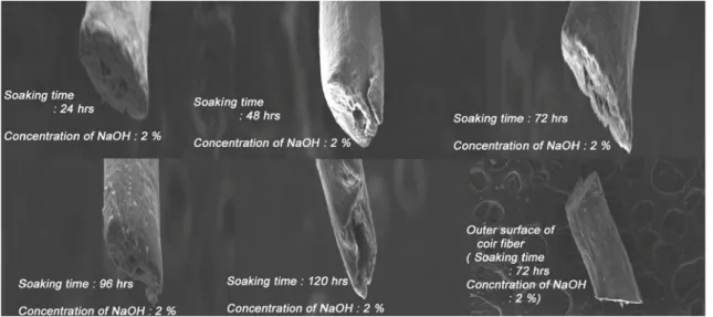 Figure 3. SEM image of treated coir fibre in 2% NaOH concentration.