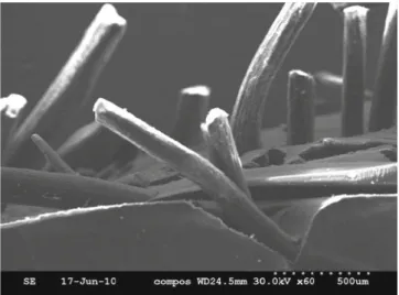 Figure 15. SEM image of treated fibre coir composites after tensile testing.