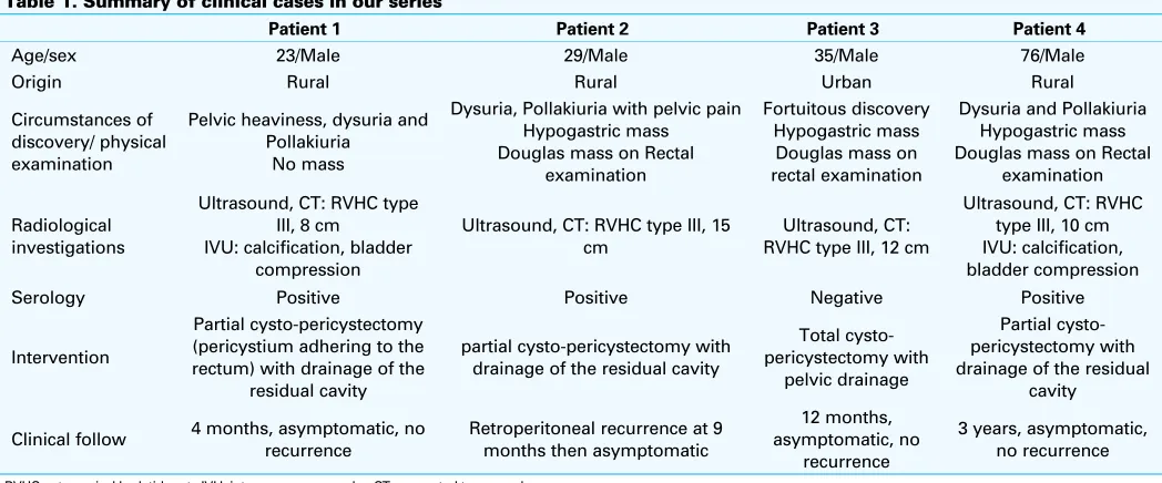 Fig. 4. Computed tomographic appearance of a retrovesical hydatid cyst Type III with bladder compression.