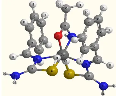 Figure 3. The optimized structural geometry of Cu(II) com- plexes. 