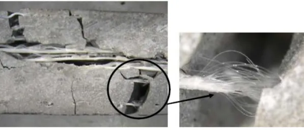 Figure 2.10: SEM micrographs of selected fracture surface of the composite with 36  wt% of jute fibre (Elbadry et al., 2012)