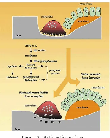 Figure 1: Molecular Structure of Statins