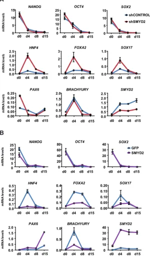 Fig 3. Gain-and-loss of function of SMYD2embryonic stem (ES) cell differentiation. (A)of the indicated genes during the SMYD2 knockdown (shSMYD2) and control (shControl) ES[4] cell lines