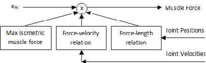 Fig. 4. Block diagram of the contraction dynamics  