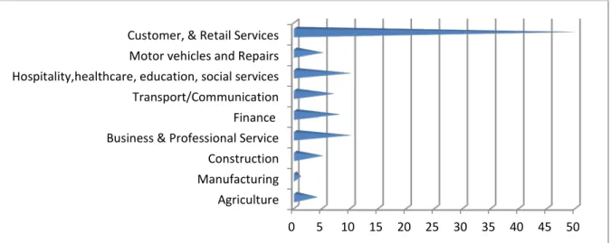 Figure 4.2 below depicts the SMME sector in graph scale. 