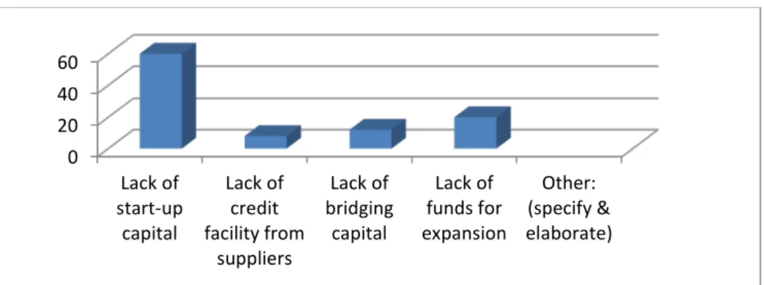 Figure 4.4: Financial support.