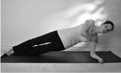 Figure 4A Beginner prone plank (on knees)