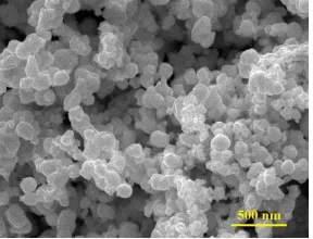 Fig. 1.  FE-SEM image of as-received silica nanoparticles.  