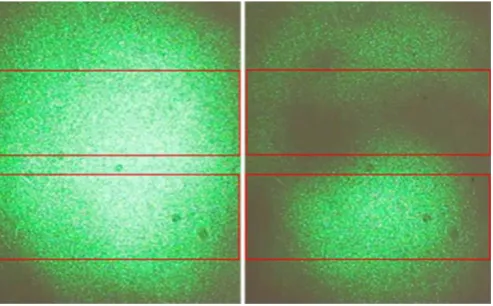 Figure 5. Right side of frames 1289 and 1290, which show the average intensities for three different regions: the total image, the top box, and the bottom box