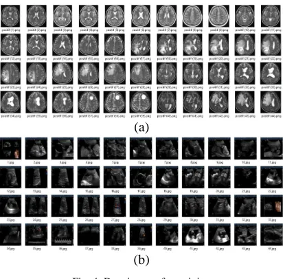 Fig. 4. Data images for training 
