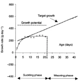 Figure 2 – Piglet growth potential during the lactation pe- pe-riod (modified from Le Dividich and Seve (2001))