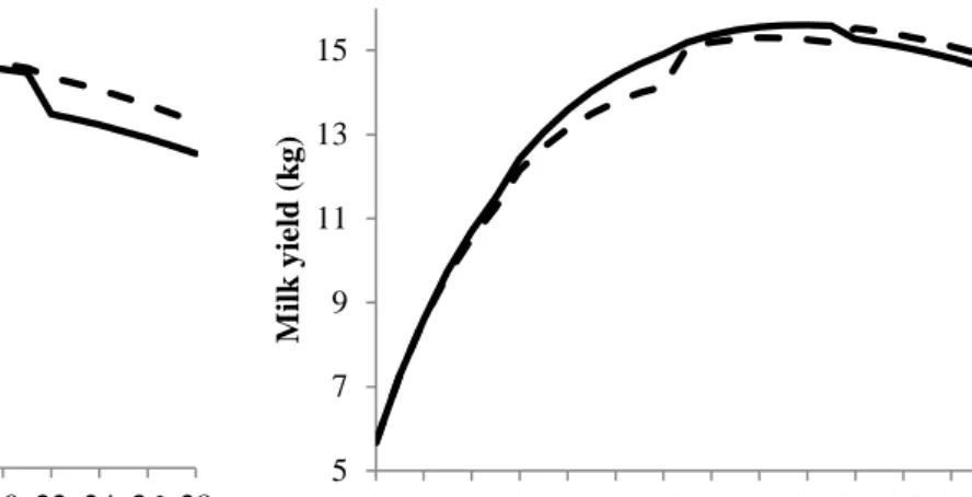 Figure  6  -  Left figure: Measured average daily MY ( ___ ) and forecasted MY (- - -) for sows fed the 1-diet feeding regime
