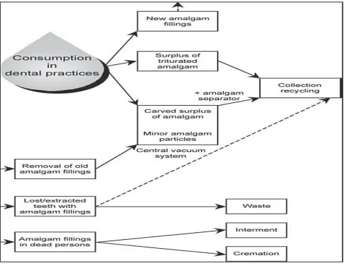 Fig. 1: Mercury cycle in dentistry (adapted from Horsted-Bindslev 2004)28