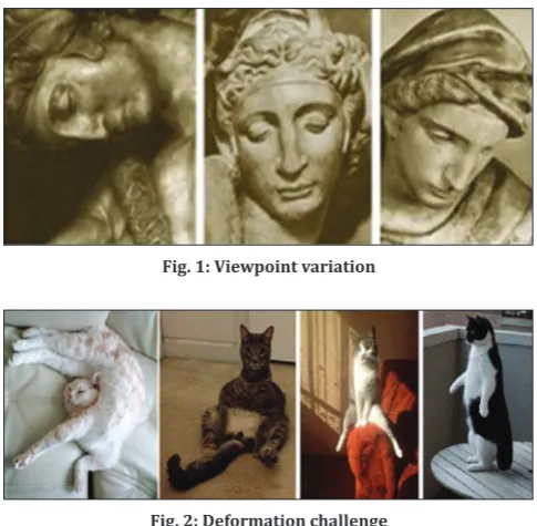 Fig. 1: Viewpoint variation