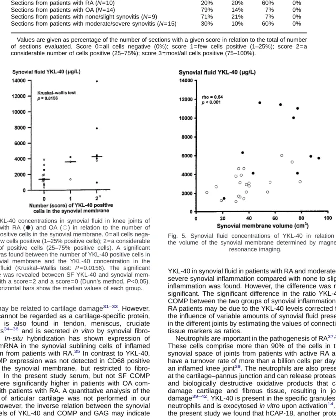 Fig. 4. YKL-40 concentrations in synovial fluid in knee joints of patients with RA (  ) and OA (  ) in relation to the number of YKL-40 positive cells in the synovial membrane