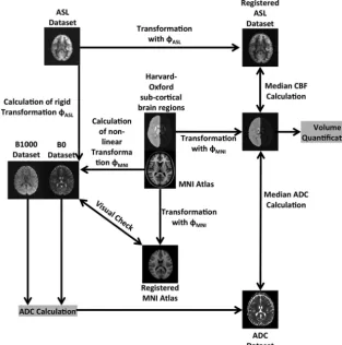 FIG 1. Illustration of the image-processing pipeline used for determination of the age-dependentvolumetric, ADC, and CBF normal values.