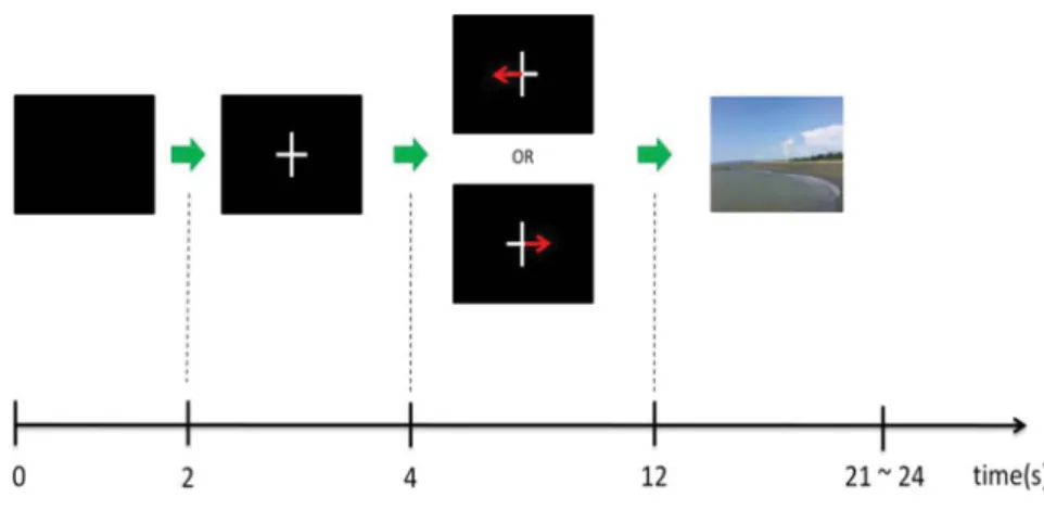 Fig. 3. Experimental paradigm.