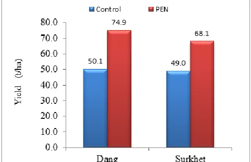 Figure 1: Yield of the crop under PEN and control plots at Dang and Surkhet districts of Nepal  