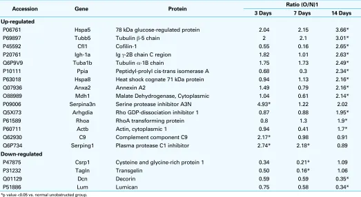 Table 2. Protein identification and quantification results, representing the ratio of obstructed to normal unobstructed groups and their fold change from normal unobstructed bladder tissue