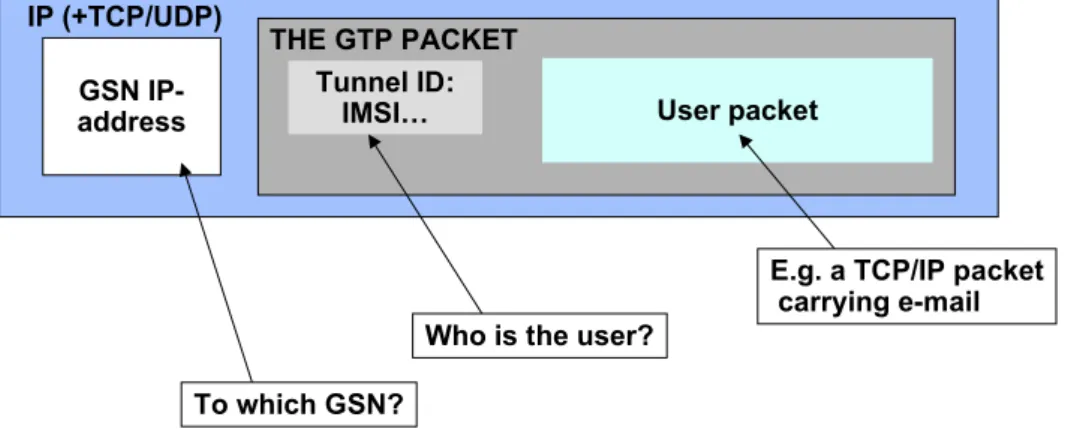 Figure 6. GTP container