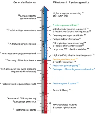 Fig. 3. P. patens genetics milestones aligned with se-lected general ones.  The major foundations for reverse genetics are marked in blue (No