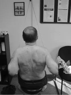 Figure 6 Lumbopelvic and back extensor training with Quadruped exercise