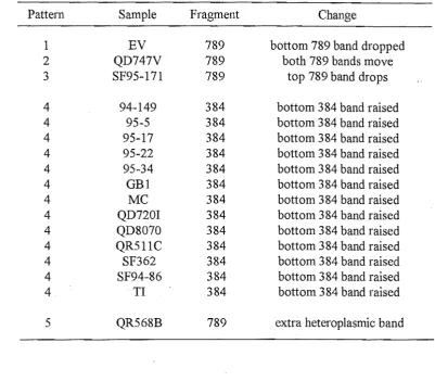 Table 2.l. SSCP patterns that differed from the control pattern after Taql digestion of the ATPase amplicon of 210 semen samples