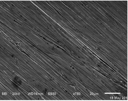 Fig. 3(a). SEM image before corrosion. 