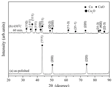 Figure 1. XRD patterns of polycrystalline Cu metal sheets prepared by (a) polishing and (b) thermal oxidation