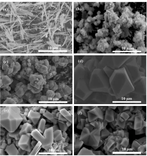 Figure 4. Surface morphology of polycrystalline Cu metal sheet prepared by thermal oxide method followed by exposure to 5 wt% NaCl solution of spray fog environment for (a) 0 (only thermal oxidation); (b) 1; (c) 7; (d) 14; (e) 21; and (f) 28 days