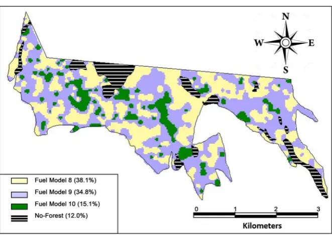 Table 3. Characteristics of the models that correspond to the experimental variogram of the spatial continuity of fuel-models