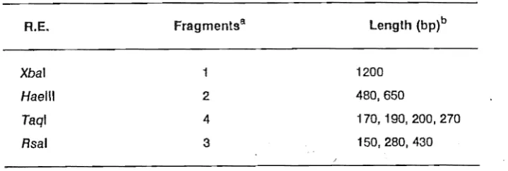 Table 3.2. Fragments generated by the digestion of PVYN27 with specific restriction endonucleases