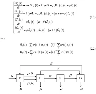 Figure 1. Transfer diagram for somking model. 