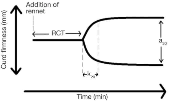Figure 1. Typical fork-shaped diagram obtained by  Formagraph and CRM (inspired from Ikonen et al., 2004; 
