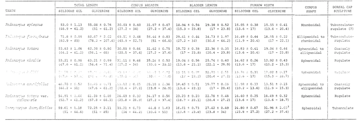 Table  4.  Su.'&#34;':l..-nary  of  pollen  measurements  11  corpus  shape  and  cap  sculpturing 2  in  Podcccrrus  and  Dacryc.::rpus