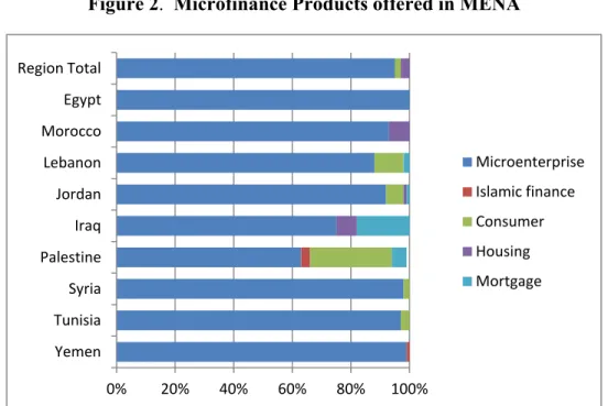 Figure 2.  Microfinance Products offered in MENA 