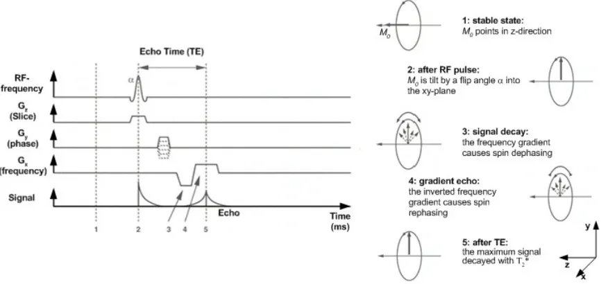 Figure 1.2:  The Gradient Echo pulse sequence (adapted from [15]).  