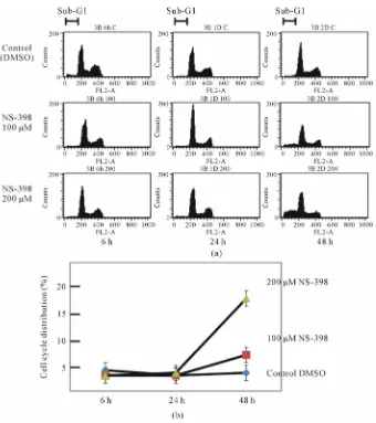 Figure 3. Cell cycle distribution by flow cytometry. Flow cytometric redistribution of cell cycle was gradually headed toward sub-G1 phase in time sequences from 6 h to 24 h and 48 h after exposure of NS-398, while it was not observed during same periods i